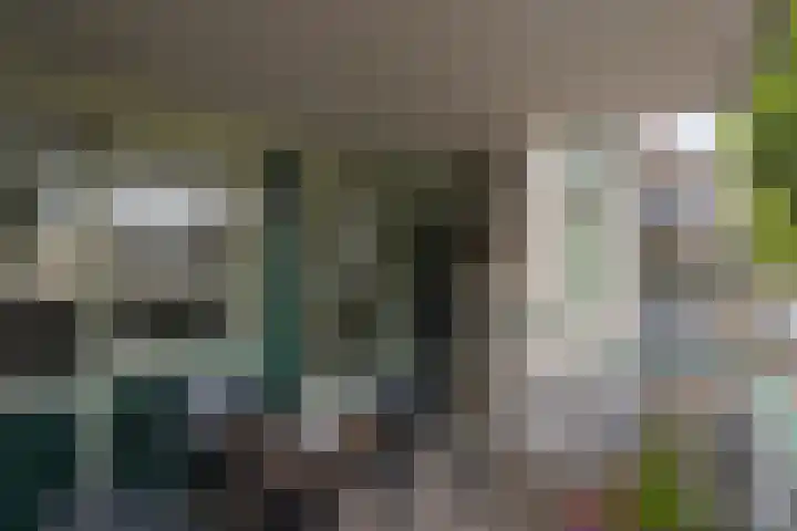 Smits van Oyenlaan 4 b Maarheeze thumbnail 30