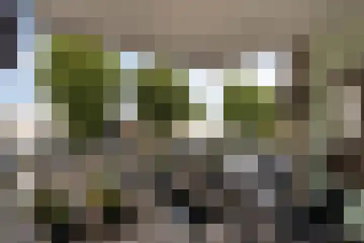Smits van Oyenlaan 4 b Maarheeze thumbnail 5
