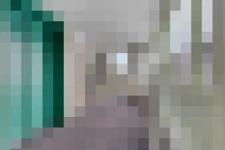 Smits van Oyenlaan 4 b Maarheeze thumbnail 8