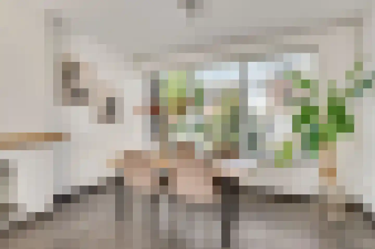 Smits van Oyenlaan 8 Maarheeze thumbnail 11