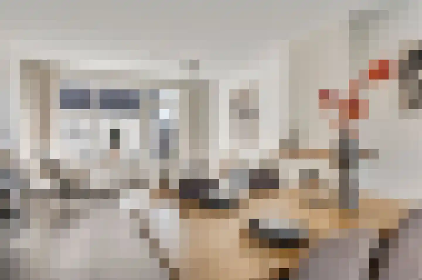 Smits van Oyenlaan 8 Maarheeze thumbnail 12