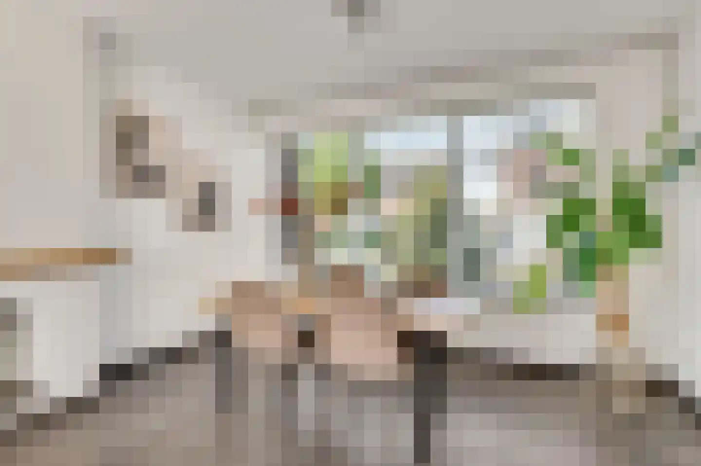 Smits van Oyenlaan 8 Maarheeze thumbnail 14