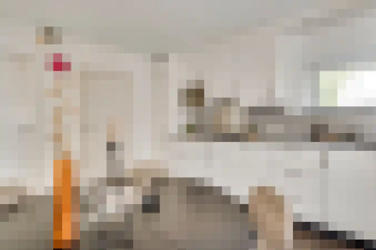 Smits van Oyenlaan 8 Maarheeze thumbnail 17