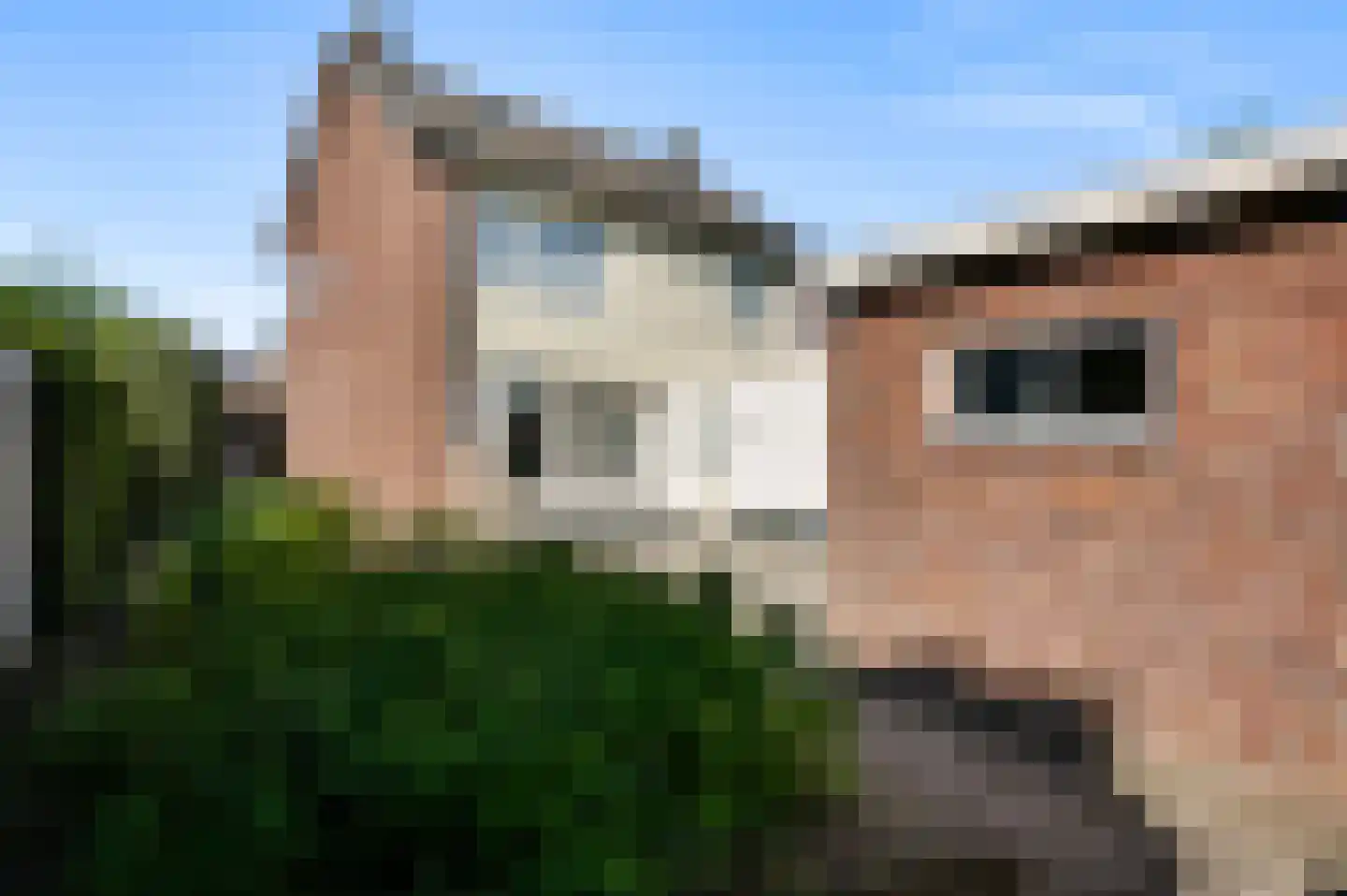 Smits van Oyenlaan 8 Maarheeze thumbnail 36