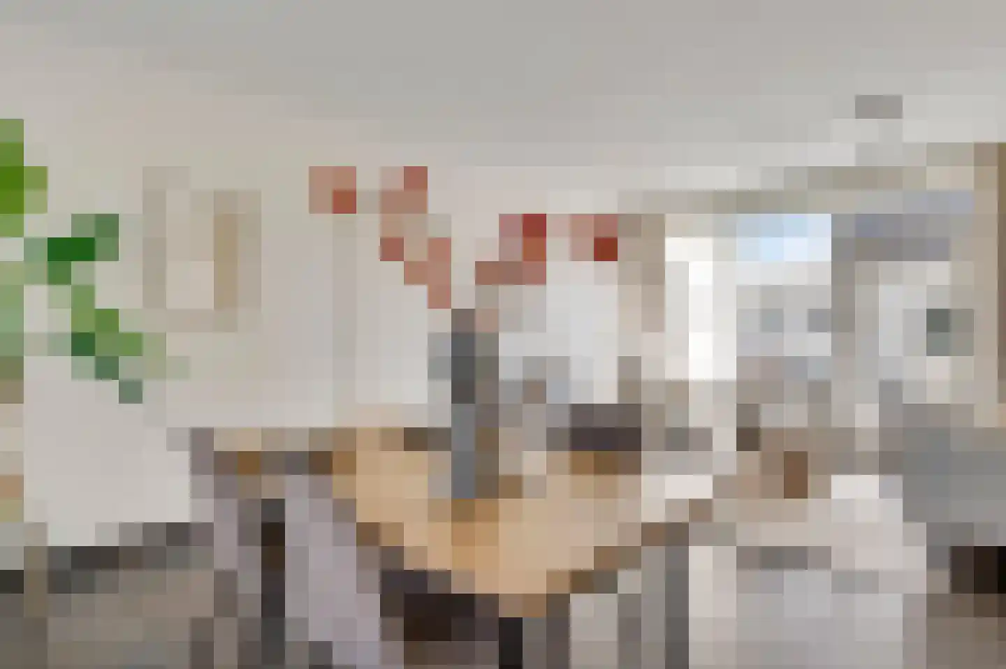 Smits van Oyenlaan 8 Maarheeze thumbnail 4