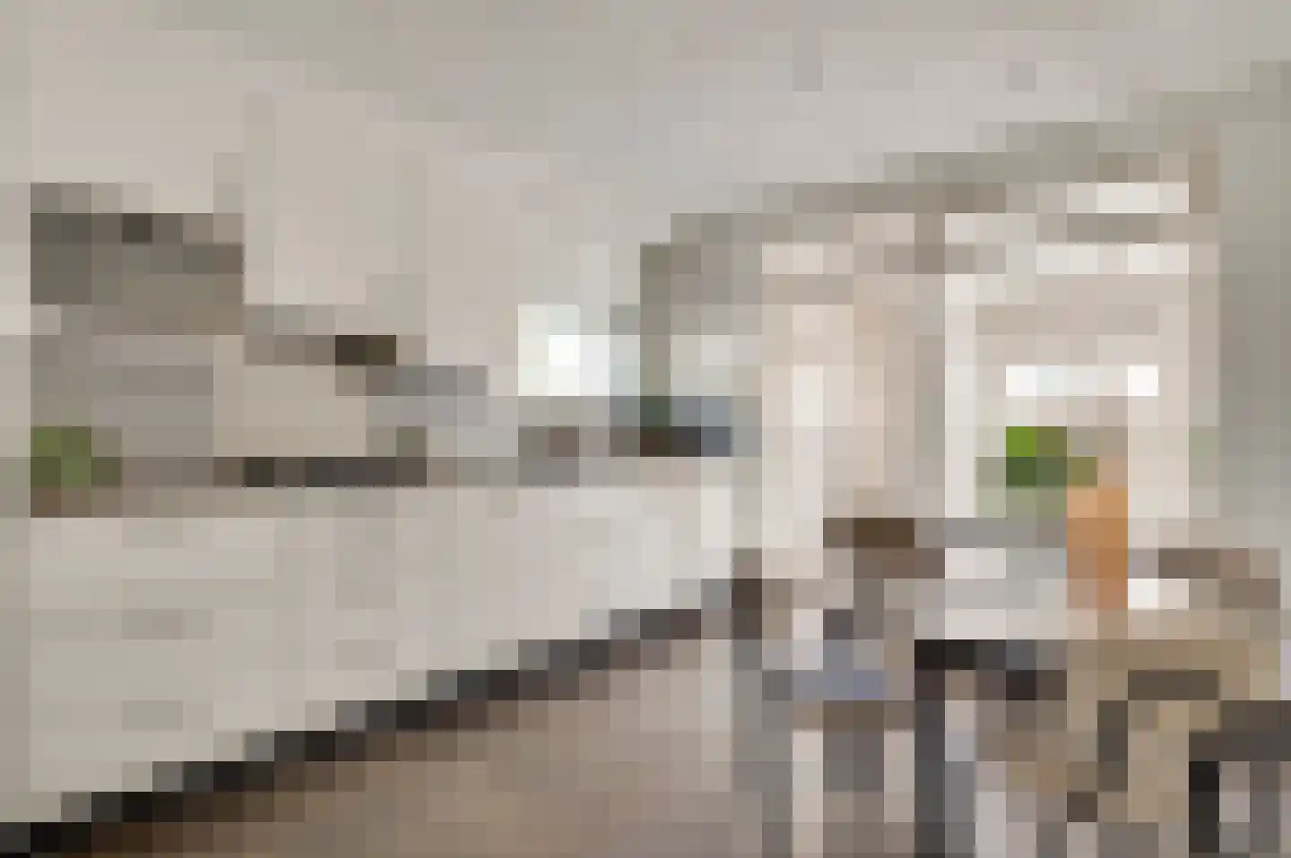 Smits van Oyenlaan 8 Maarheeze thumbnail 5