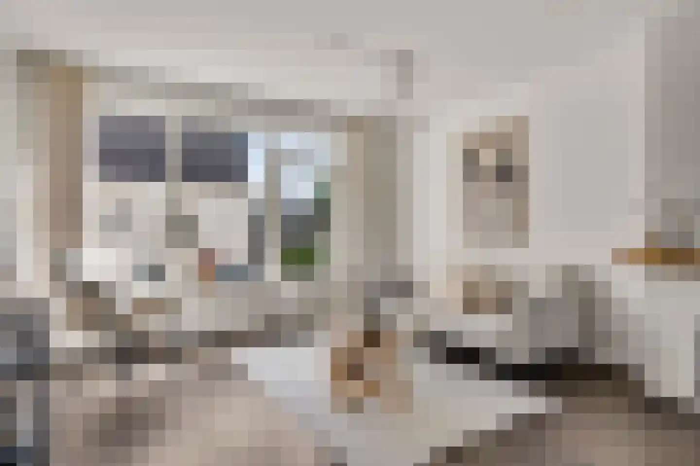 Smits van Oyenlaan 8 Maarheeze thumbnail 9