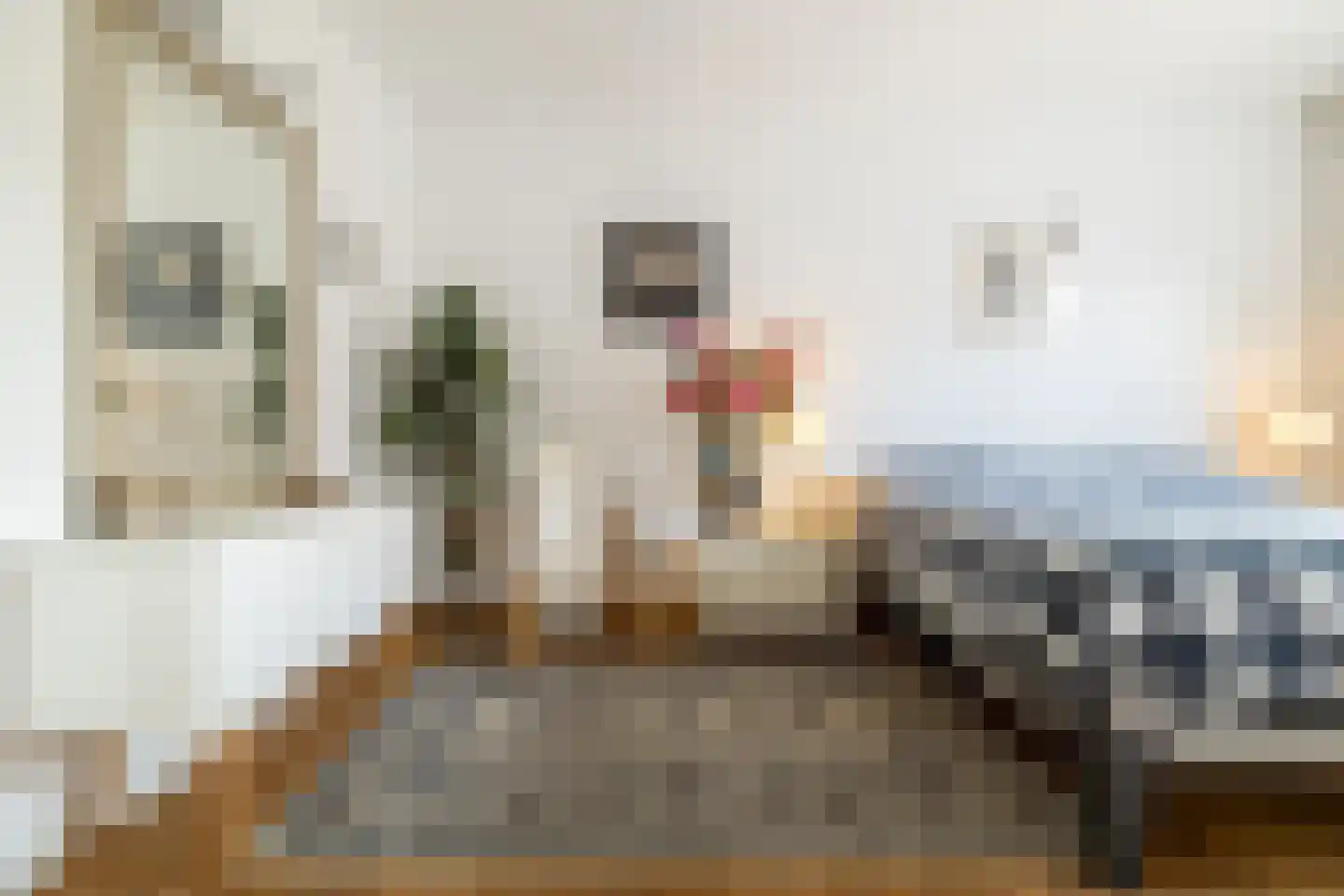 Smits van Waesberghestraat 11 Breda thumbnail 17