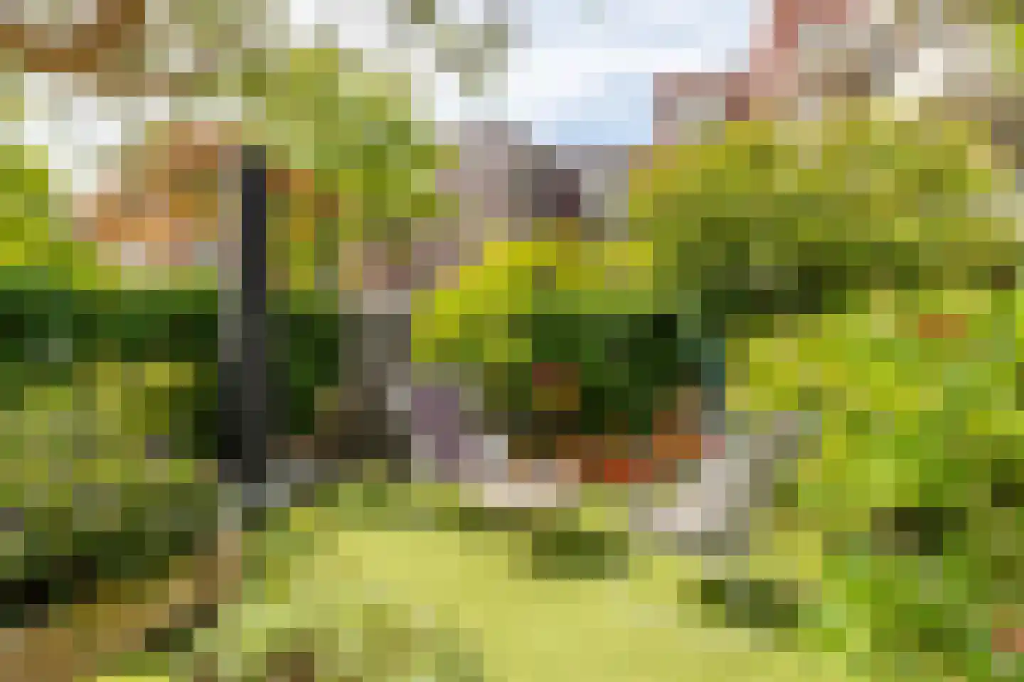 Smits van Waesberghestraat 11 Breda thumbnail 31