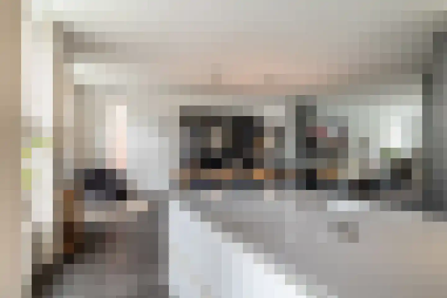 Smits van Waesberghestraat 16 Breda thumbnail 18
