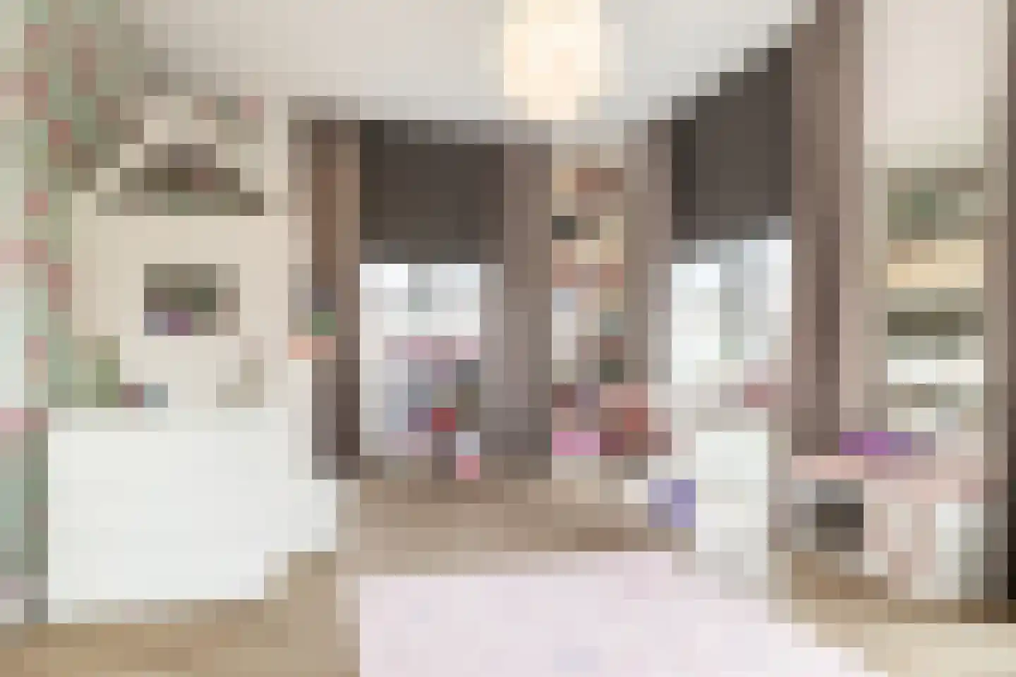 Smits van Waesberghestraat 16 Breda thumbnail 38