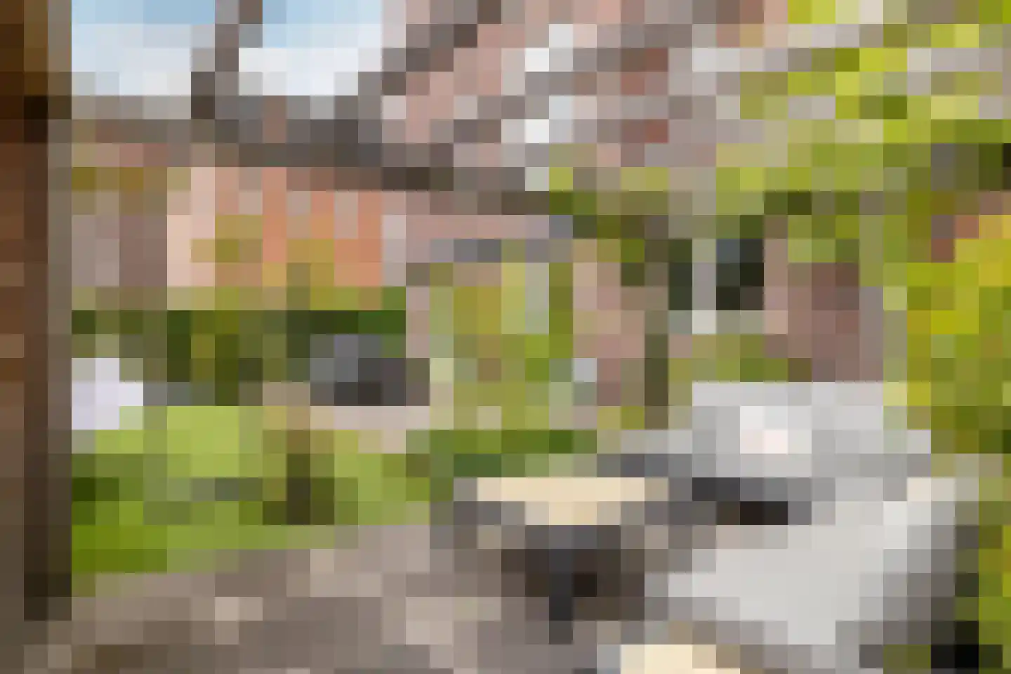 Smits van Waesberghestraat 16 Breda thumbnail 46