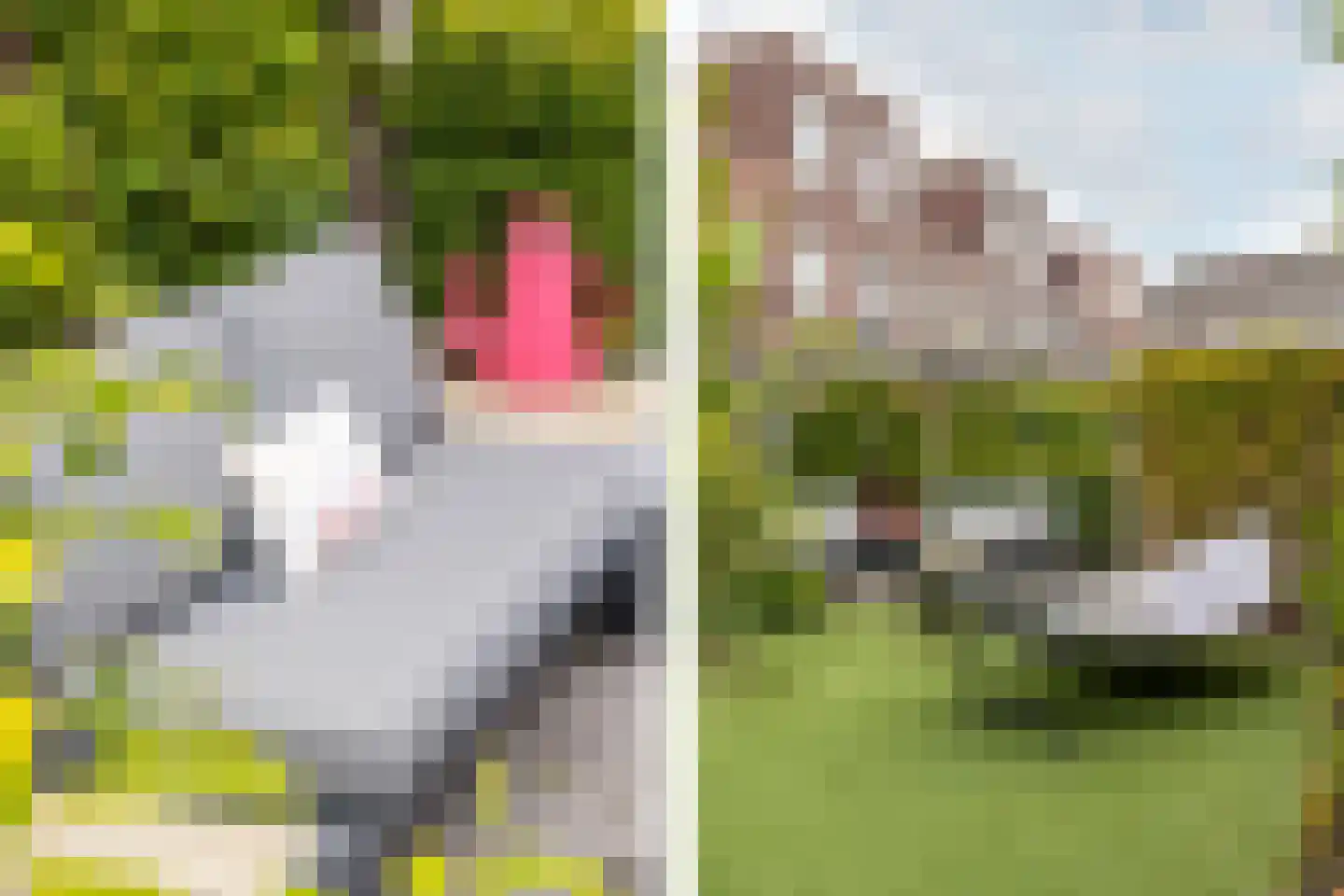 Smits van Waesberghestraat 16 Breda thumbnail 47