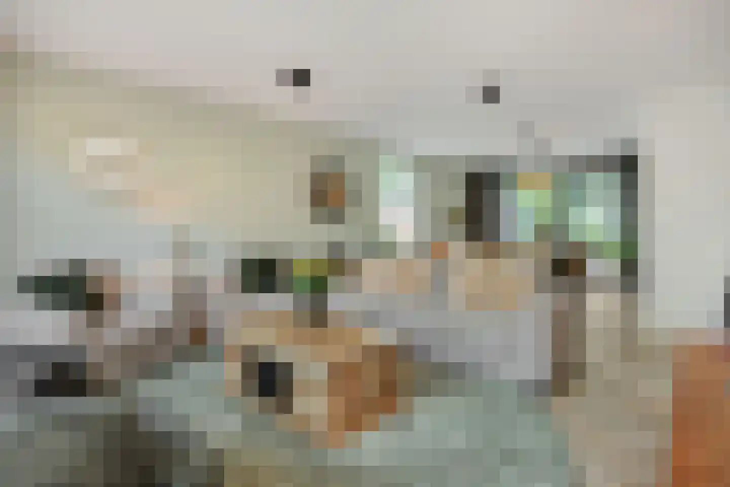Smitse 1 Berlicum thumbnail 10