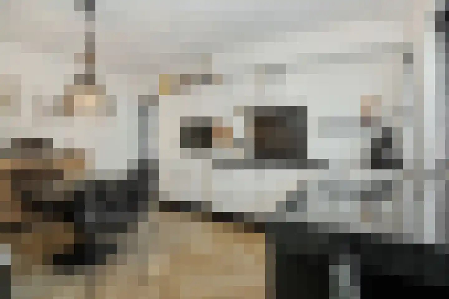 Smitse 1 Berlicum thumbnail 13