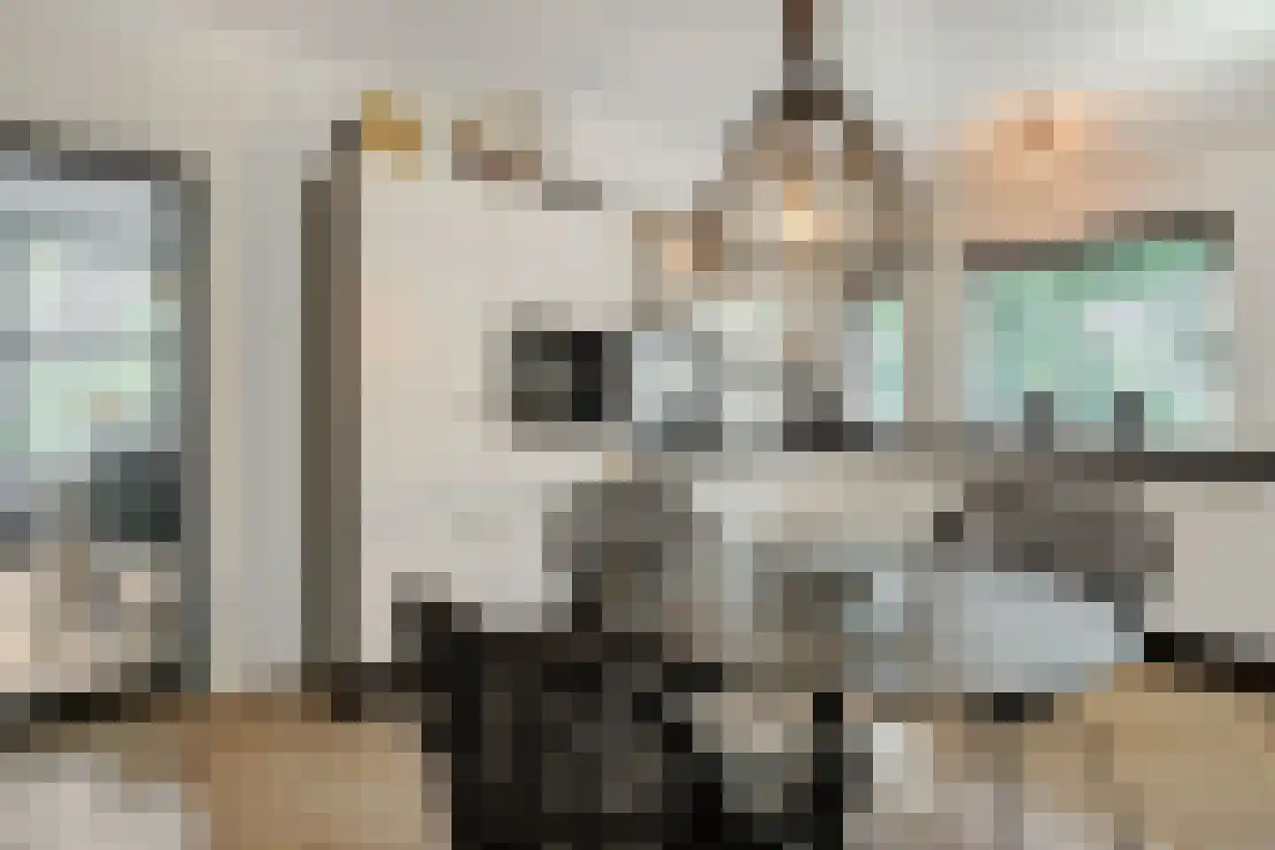 Smitse 1 Berlicum thumbnail 14