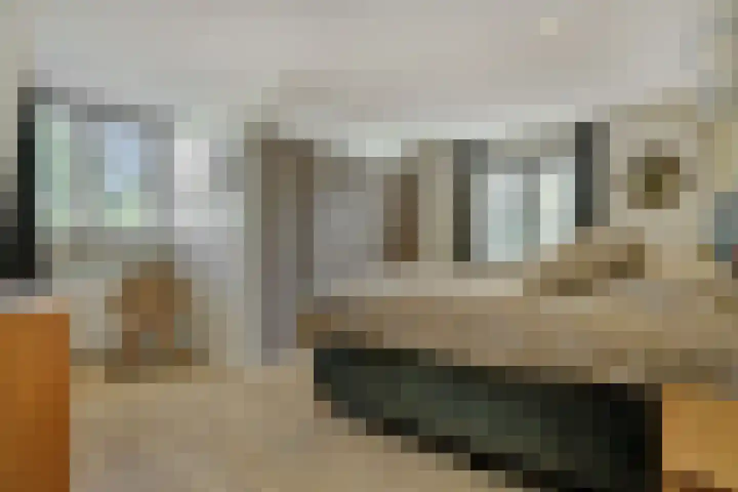 Smitse 1 Berlicum thumbnail 17