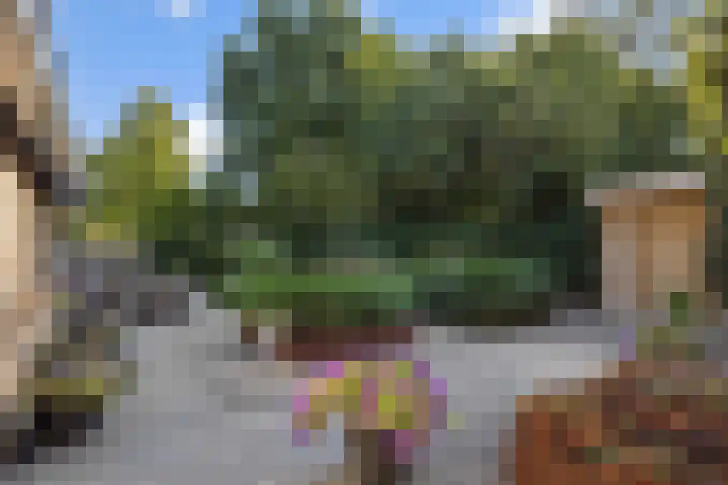 Smitse 1 Berlicum thumbnail 26
