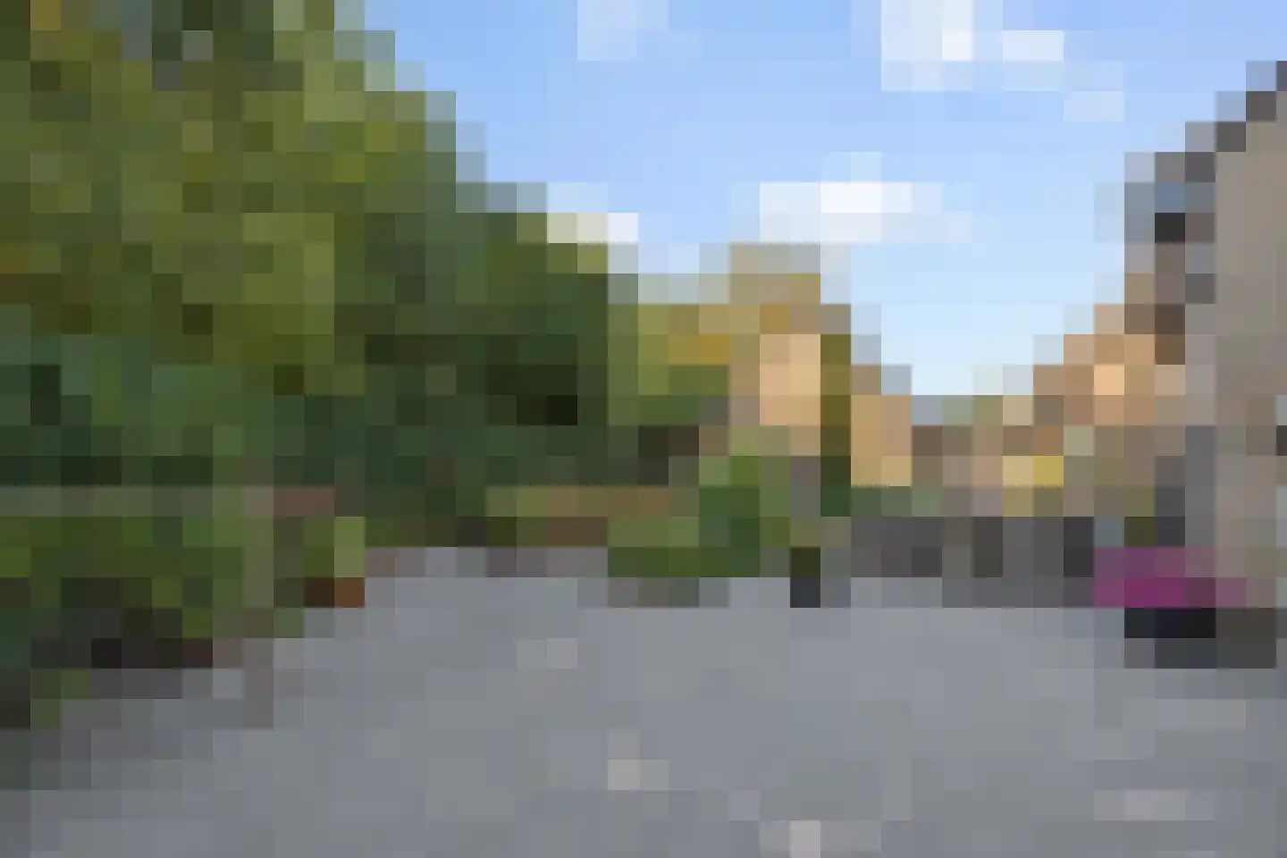 Smitse 1 Berlicum thumbnail 31