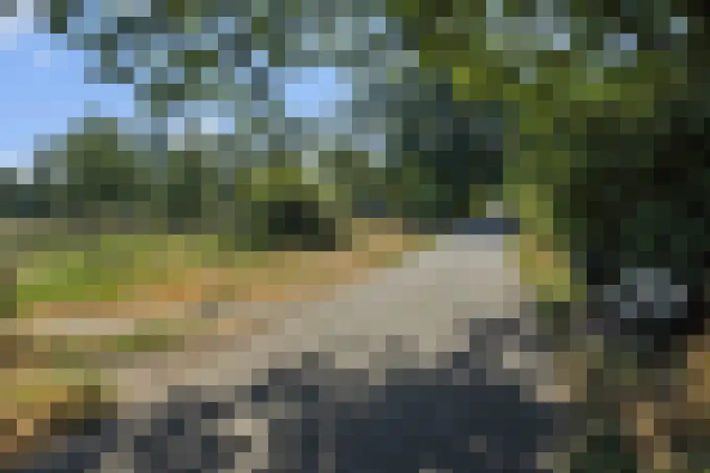 Smitse 1 Berlicum thumbnail 36