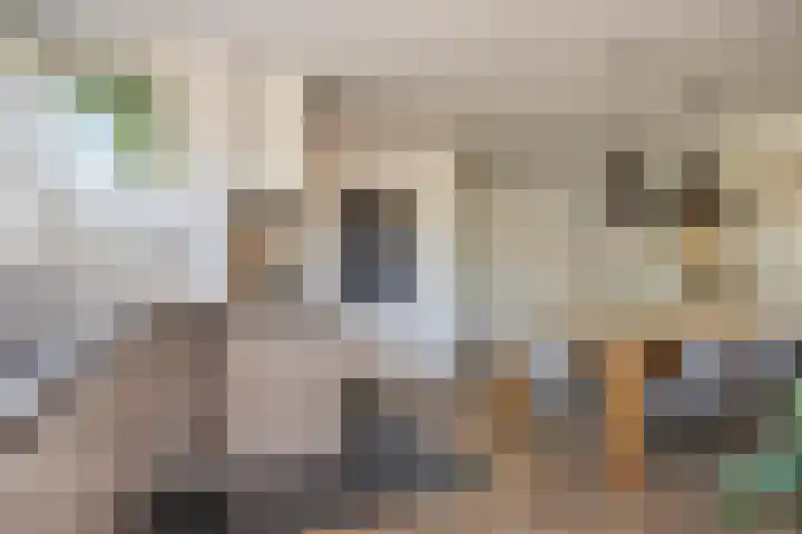 Smitseind 5 Duizel thumbnail 10