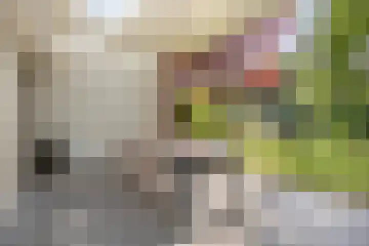 Smitseind 5 Duizel foto 2