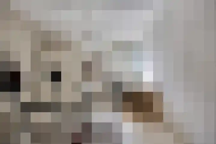 Smitseind 5 Duizel thumbnail 33