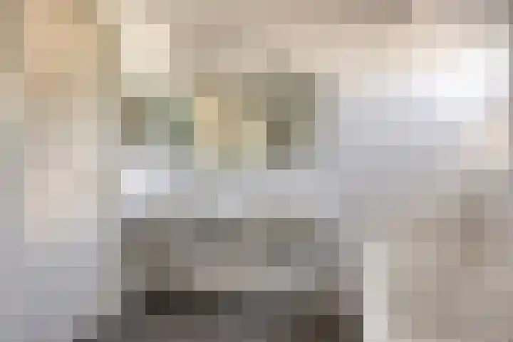 Smitseind 5 Duizel thumbnail 37
