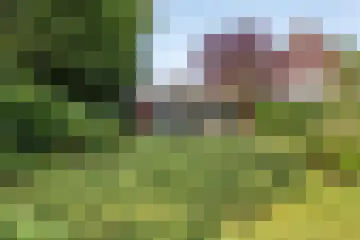 Smitseind 5 Duizel thumbnail 47