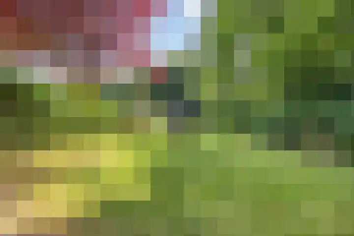Smitseind 5 Duizel thumbnail 48