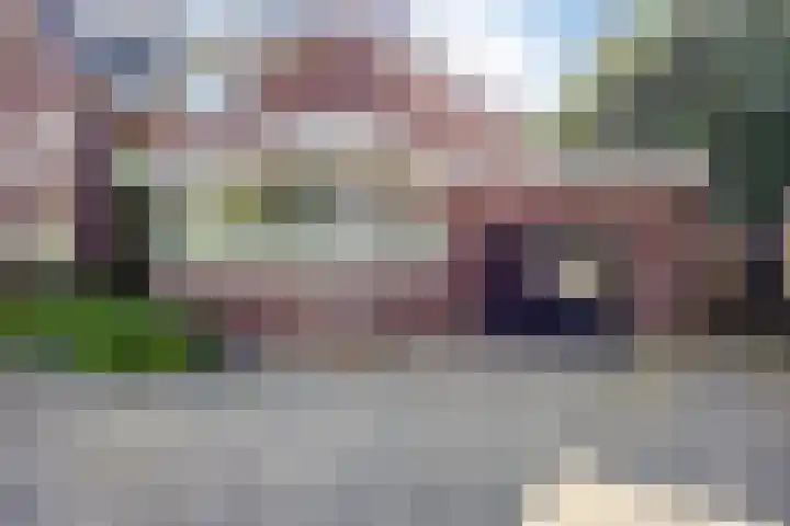 Smitseind 5 Duizel thumbnail 5