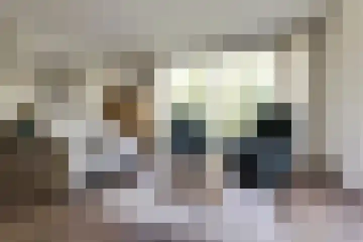 Smitshoek 68 Bergschenhoek thumbnail 11