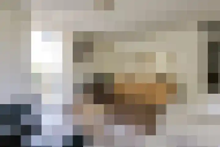 Smitshoek 68 Bergschenhoek thumbnail 13