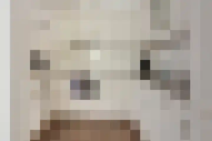Smitshoek 68 Bergschenhoek thumbnail 17
