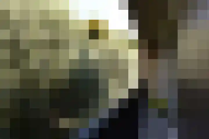 Smitshoek 68 Bergschenhoek thumbnail 18