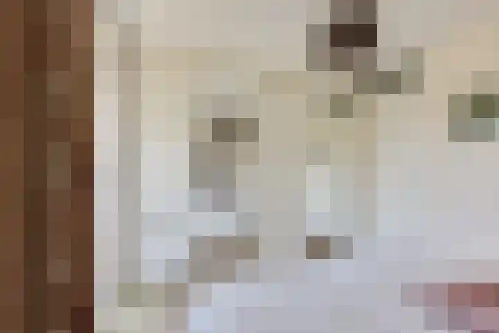 Smitshoek 68 Bergschenhoek thumbnail 21