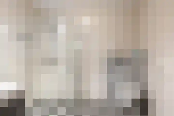 Smitshoek 68 Bergschenhoek thumbnail 24