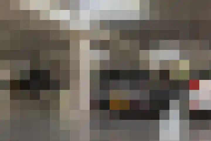 Smitshoek 68 Bergschenhoek thumbnail 27