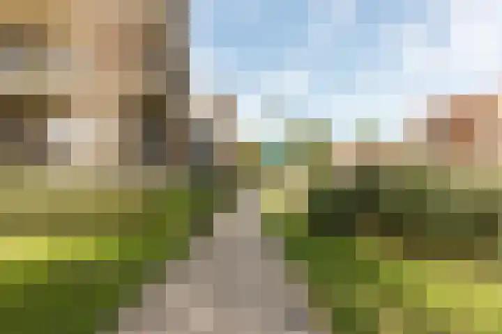 Smitshoek 68 Bergschenhoek thumbnail 28
