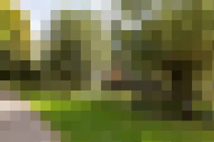 Smitshoek 68 Bergschenhoek thumbnail 29