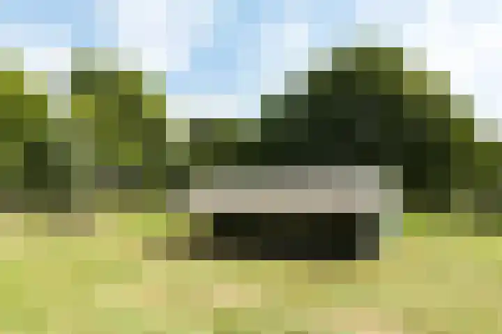 Smitshoek 68 Bergschenhoek thumbnail 30