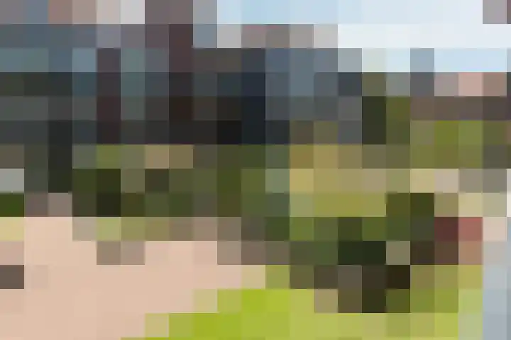 Smitshoek 68 Bergschenhoek thumbnail 4