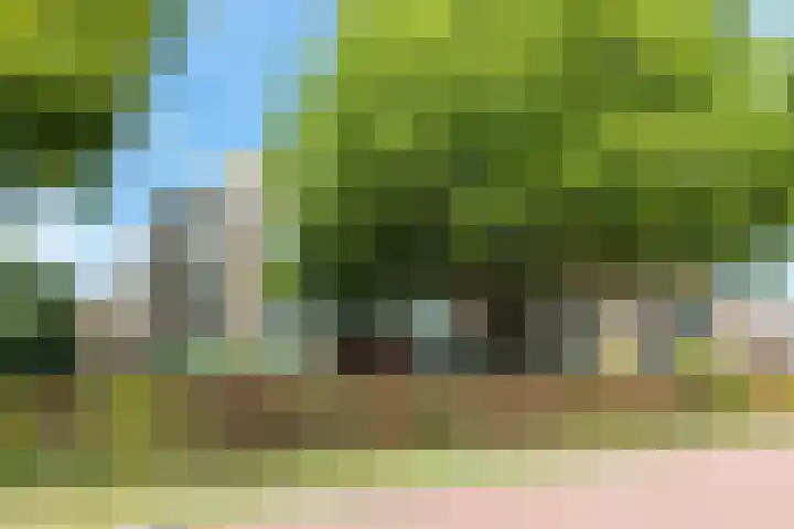 Smitshoek 68 Bergschenhoek thumbnail 5