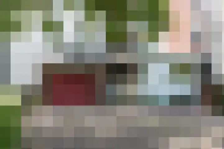 Smitshoek 68 Bergschenhoek thumbnail 6