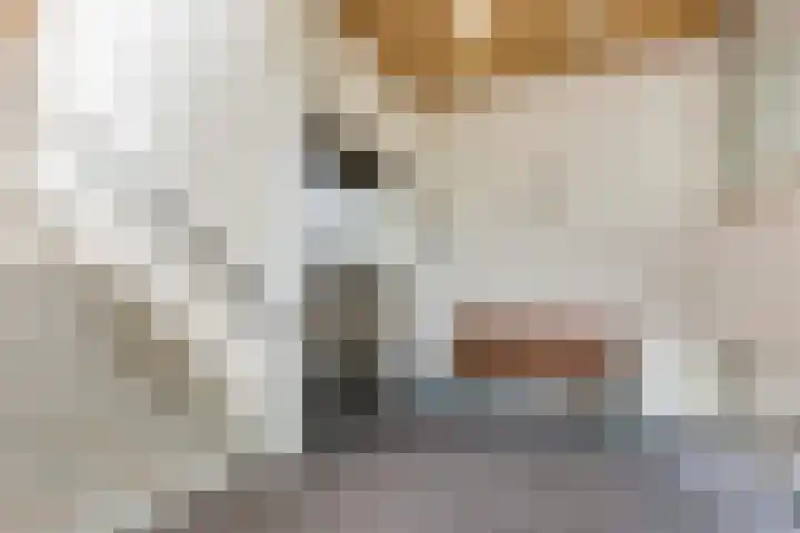 Smitshoek 68 Bergschenhoek thumbnail 7