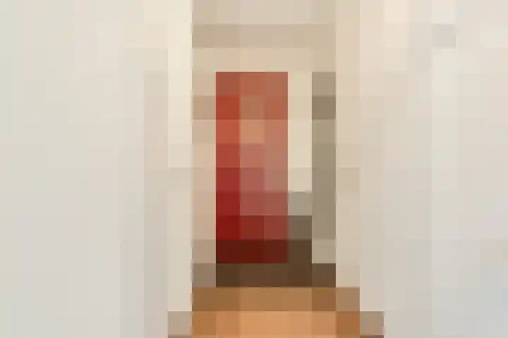 Smitshoek 68 Bergschenhoek thumbnail 9