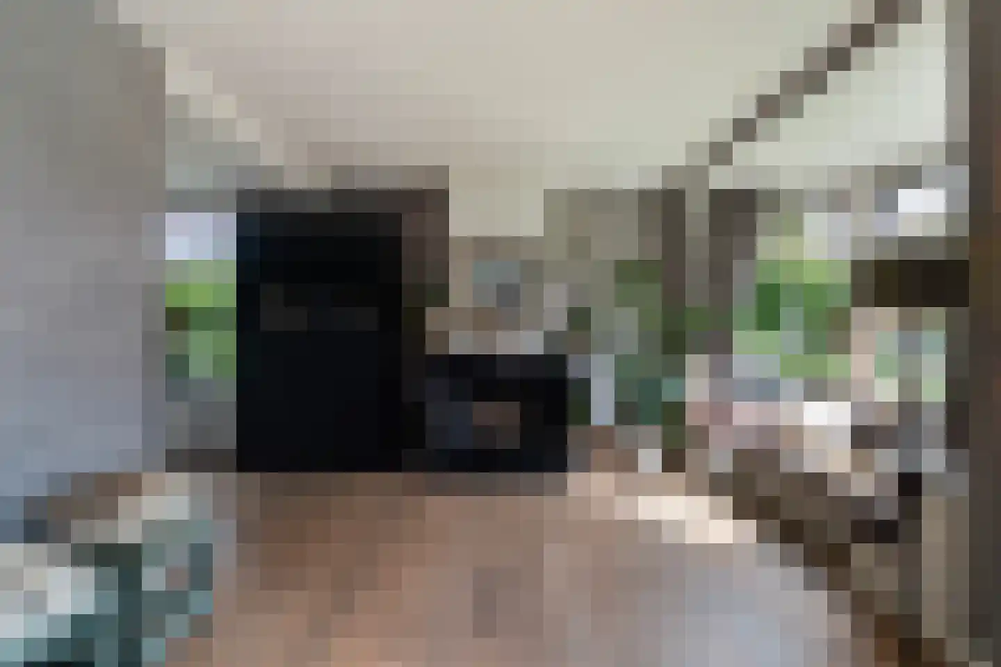 Smitshoekseweg 203 Rotterdam thumbnail 10