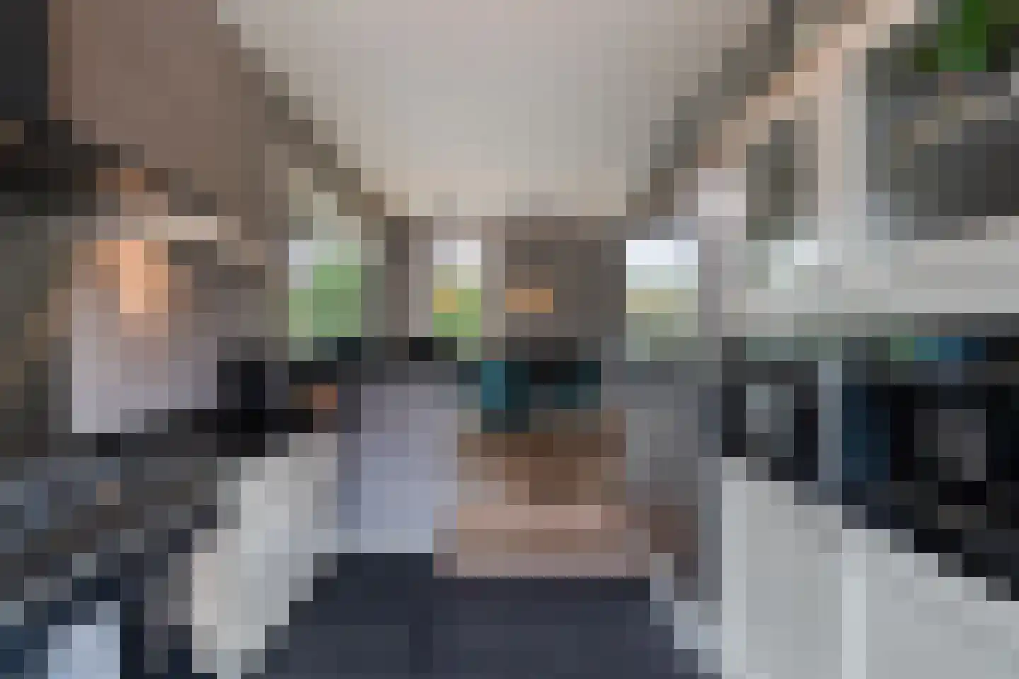 Smitshoekseweg 203 Rotterdam thumbnail 14