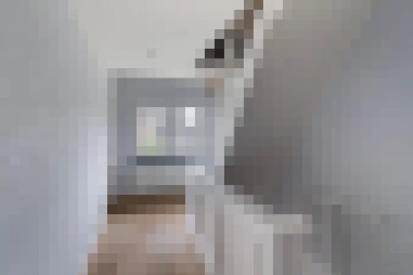 Smitshoekseweg 203 Rotterdam thumbnail 20