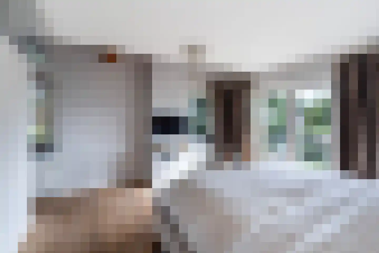 Smitshoekseweg 203 Rotterdam thumbnail 22